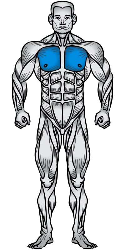 Shoulder Tap Push Up