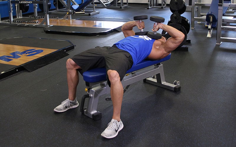 Hướng Dẫn Video Bài Tập Tate Press Với Tạ Đơn