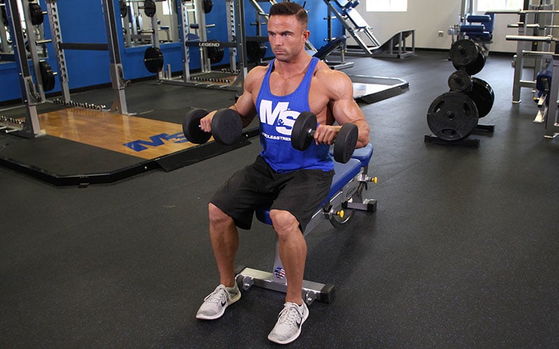 Hướng Dẫn Video Bài Tập Seated Dumbbell Reverse Curl